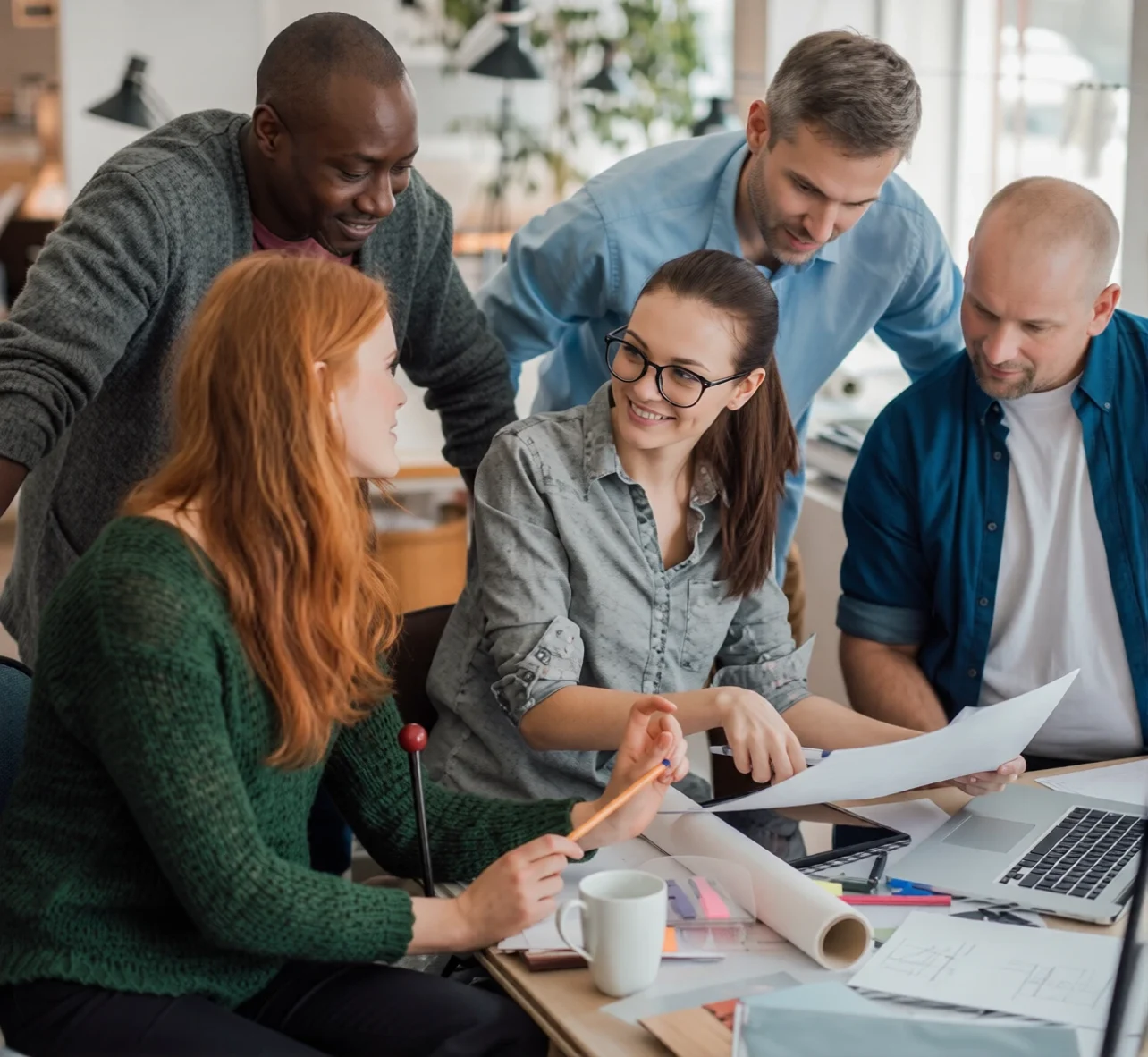 Group Of People Working